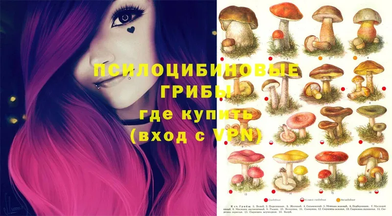 Галлюциногенные грибы MAGIC MUSHROOMS  Козловка 